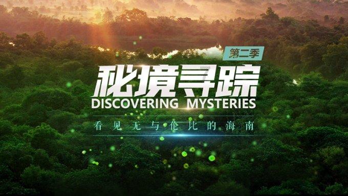 奇异人生暴风前夕