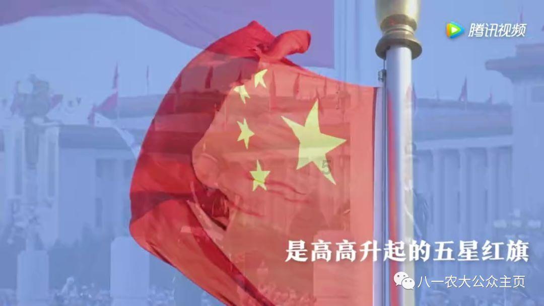 亮相“委员通道”的他们都说了些什么