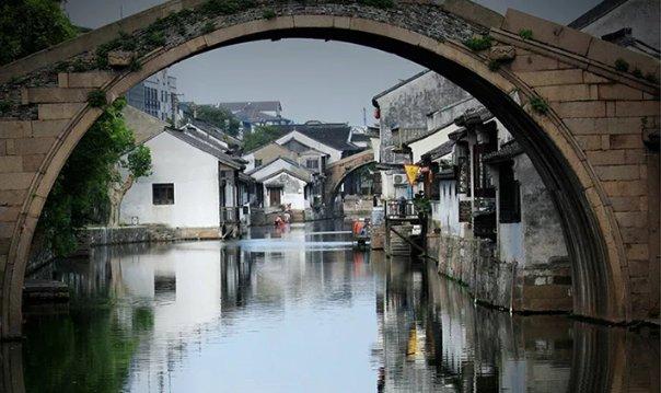 【医学小常识】解密中医养生之道:免疫力的奥秘