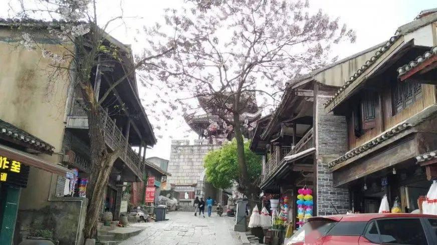利用三峡司法实践基地 宣讲生态法治知识